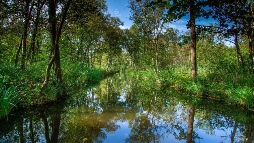 NP-WW-2020-©MarketingOost-Nationaal-Park-en-veenhart-21-min-scaled NP-WW-2020-©MarketingOost-Nationaal-Park-en-veenhart-21-min-scaled