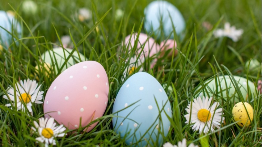 Screenshot_20260115_183131_Google